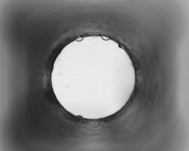 X0000093501495200711091653