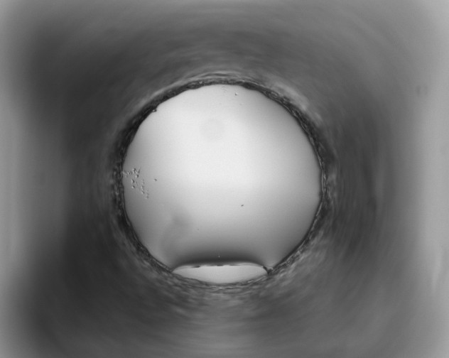 X0000093501496200711091653