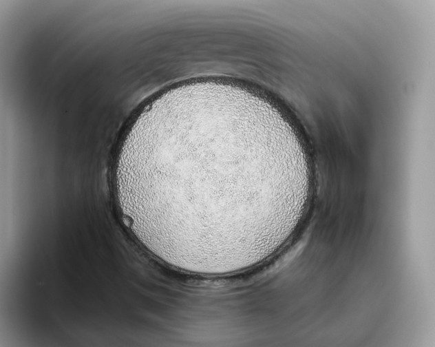 X0000093501497200711091653