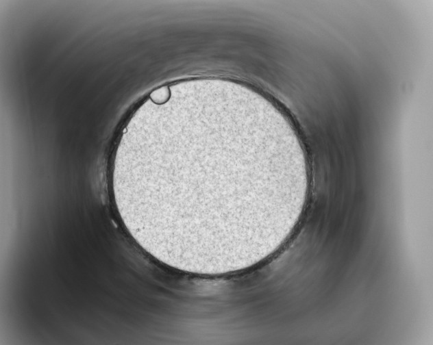 X0000093501498200711091653