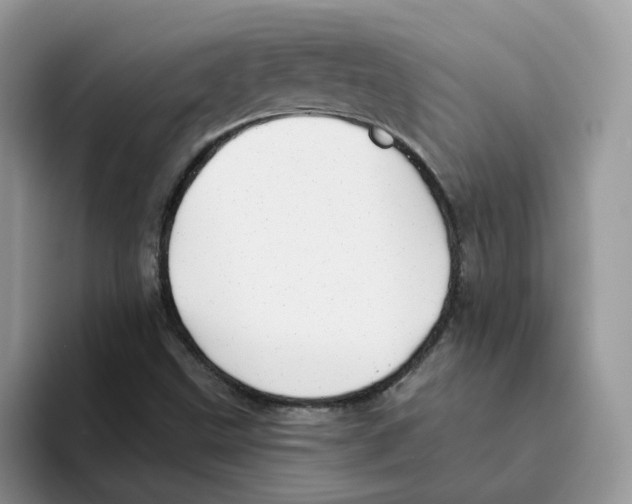 X0000093501499200711091653