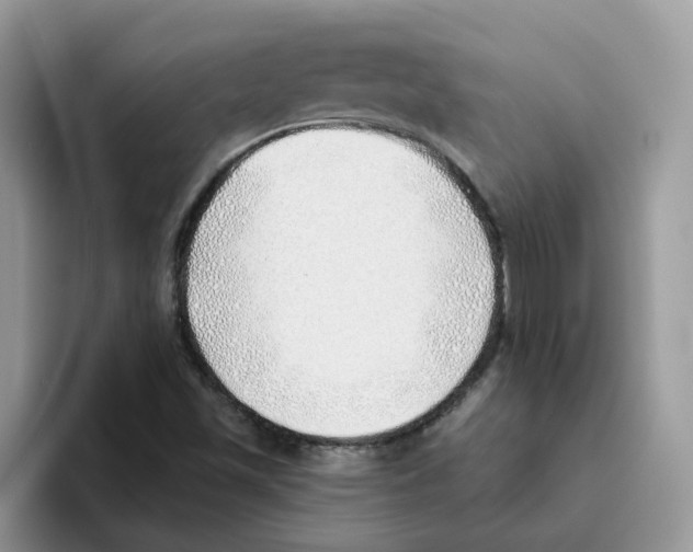 X0000093501501200711091653