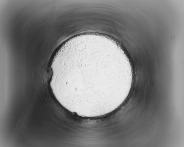 X0000093501505200711091653