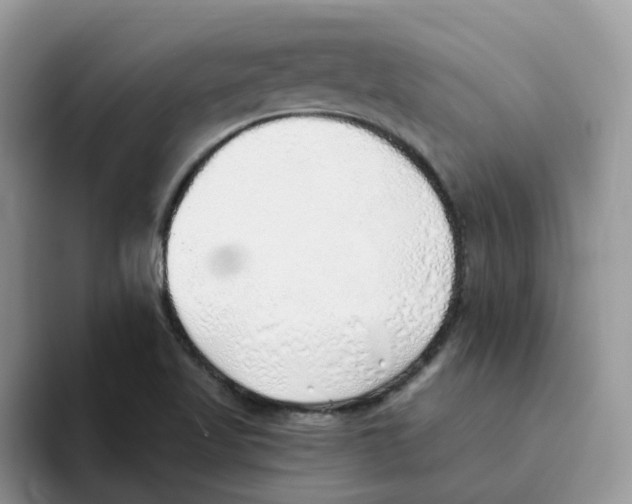 X0000093501509200711091653