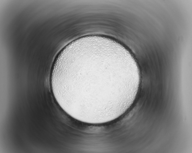 X0000093501513200711091653
