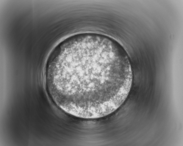 X0000093501515200711091653