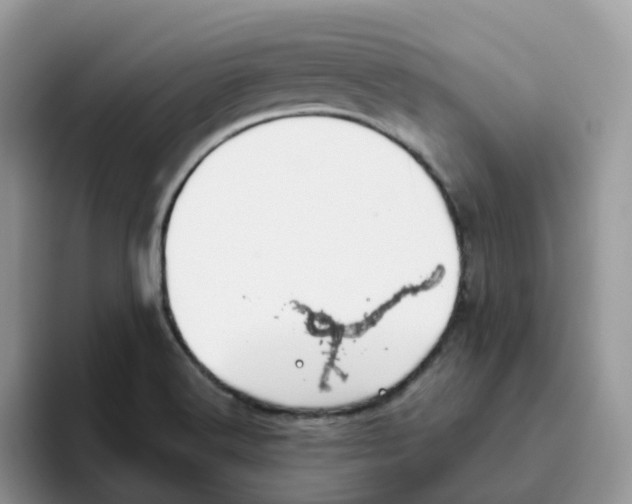 X0000093501516200711091653