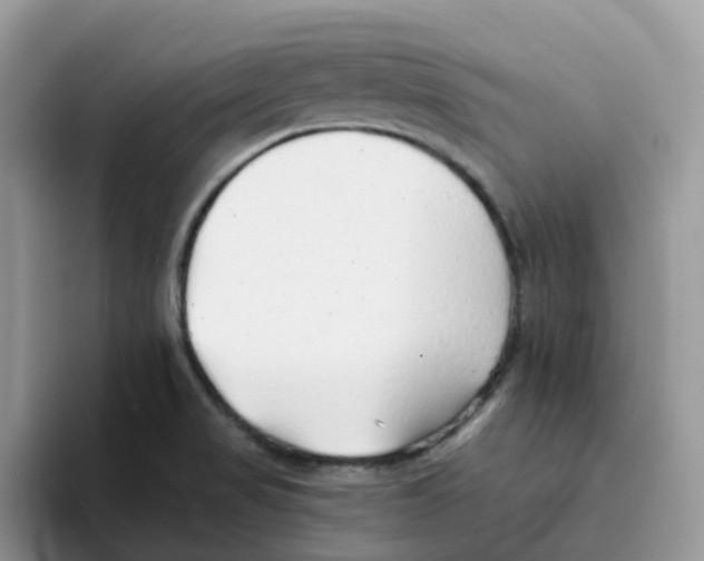 X0000093501517200711091653