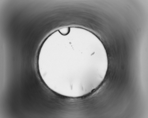 X0000093501518200711091653