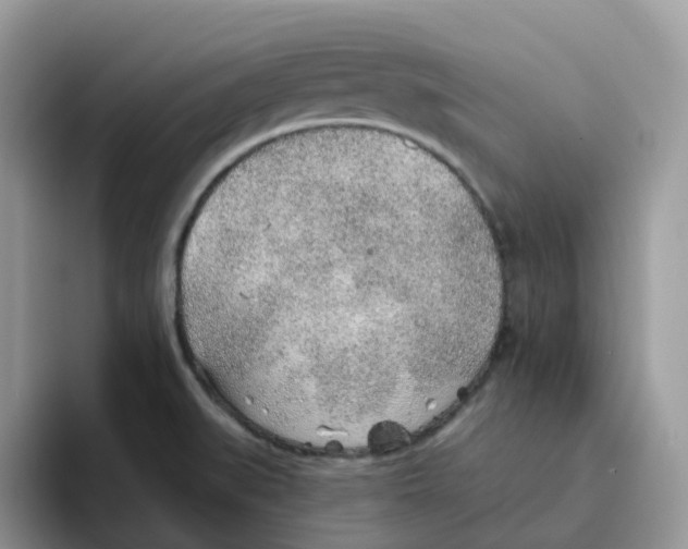 X0000093501519200711091653