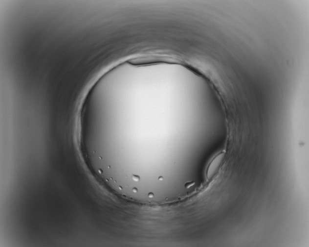 X0000093501520200711091653