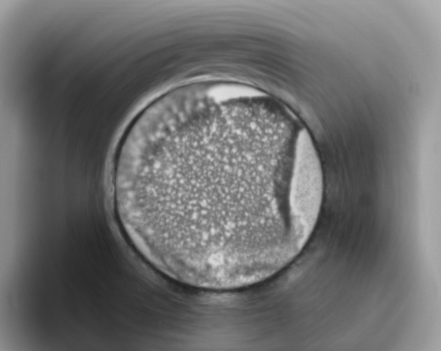 X0000093501522200711091653