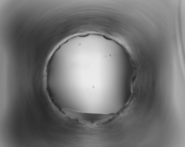 X0000093501524200711091653