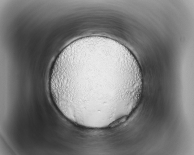 X0000093501525200711091653