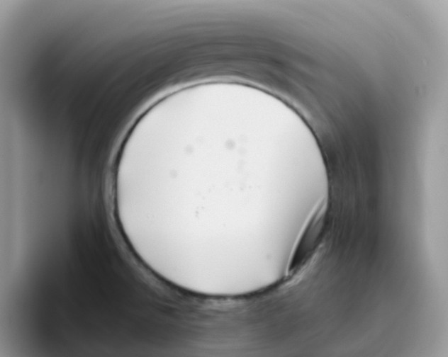 X0000093501526200711091653