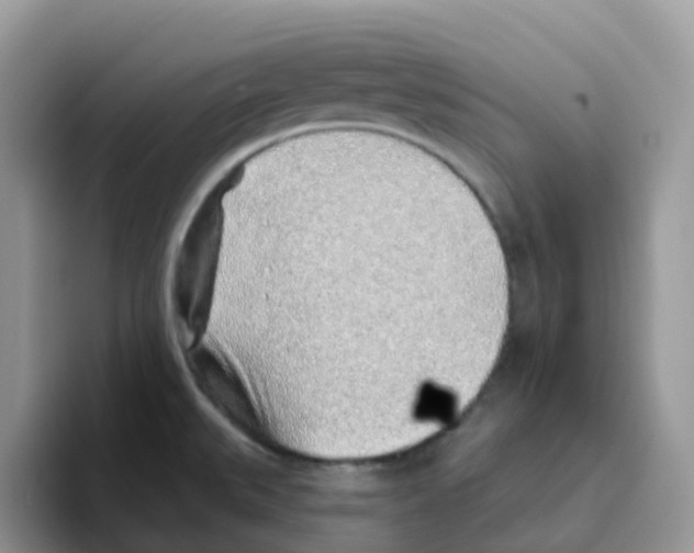 X0000093501527200711091653