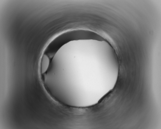 X0000093501528200711091653