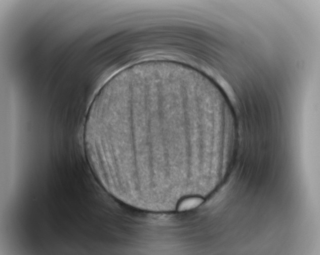 X0000093501529200711091653