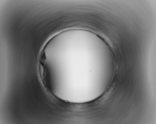 X0000093501530200711091653