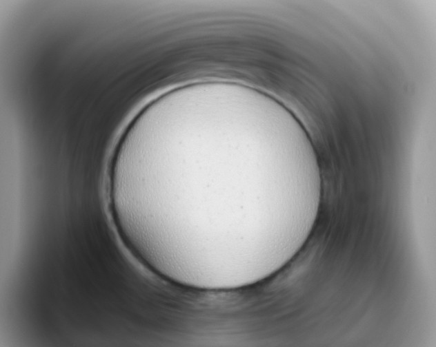X0000093501531200711091653
