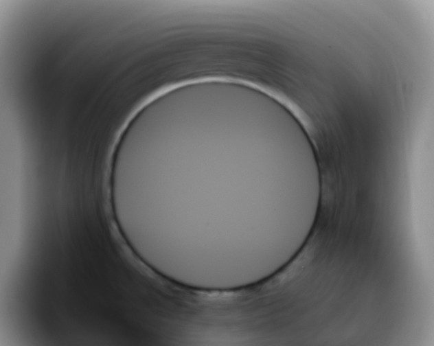 X0000093501534200711091653