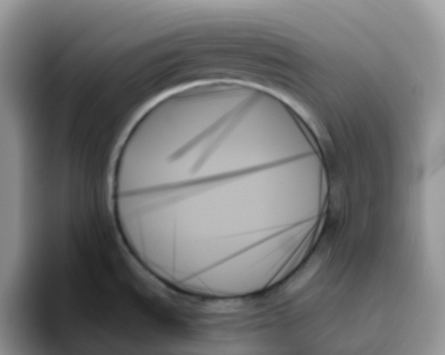 X0000093501535200711091654