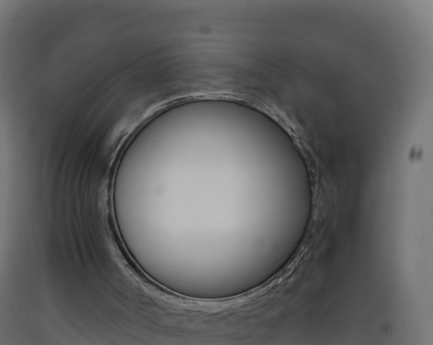 X0000093510002200710121112