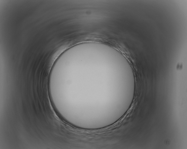 X0000093510003200710121112