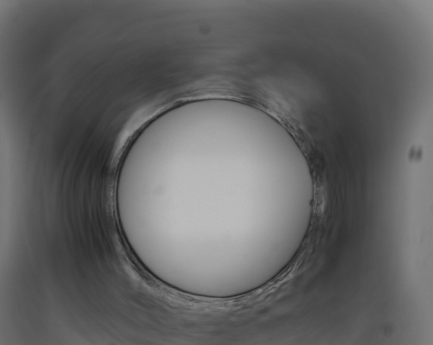X0000093510004200710121112