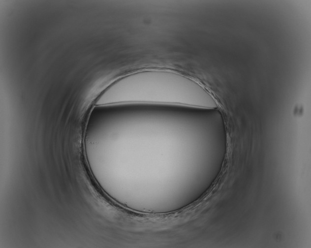 X0000093510005200710121112