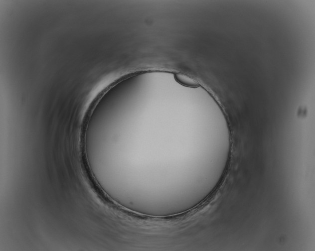 X0000093510008200710121112