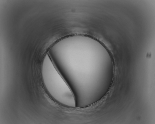 X0000093510009200710121112