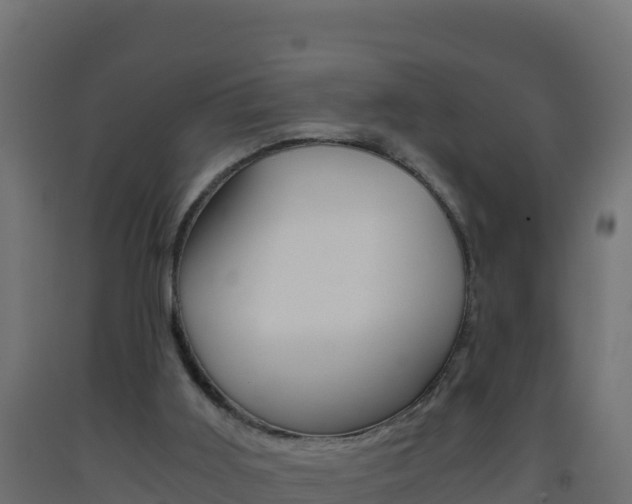 X0000093510011200710121112