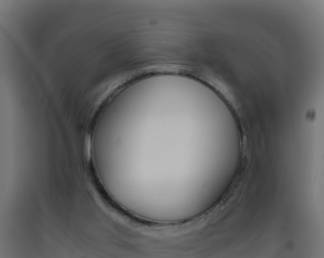 X0000093510013200710121112