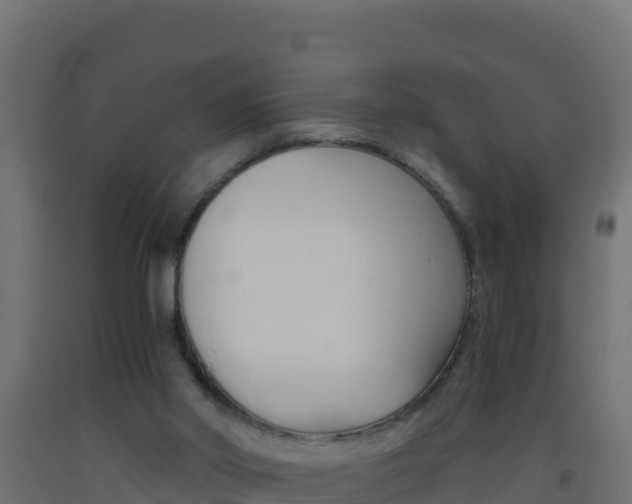 X0000093510014200710121112