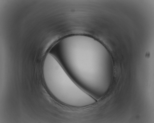 X0000093510015200710121112