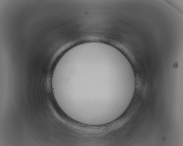 X0000093510016200710121112