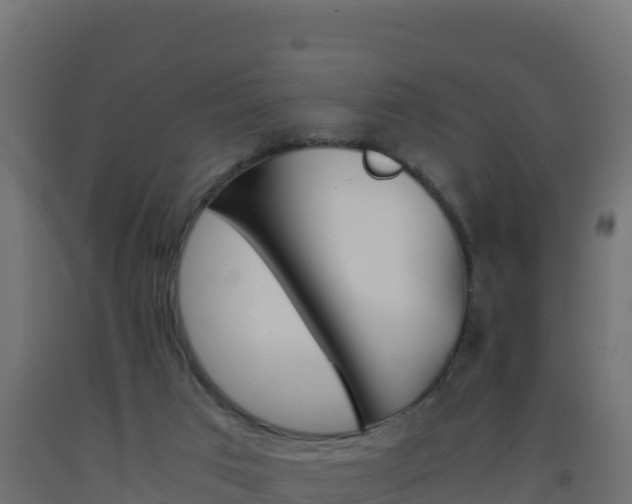X0000093510017200710121112