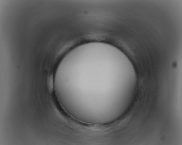 X0000093510020200710121112