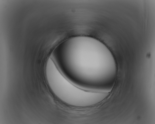 X0000093510021200710121112
