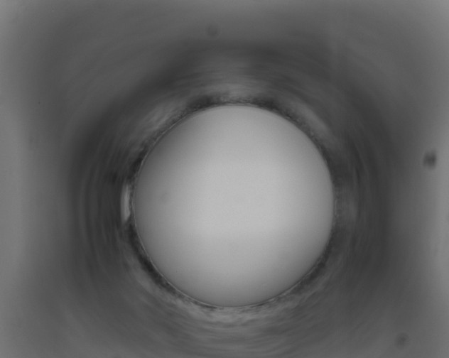 X0000093510022200710121112