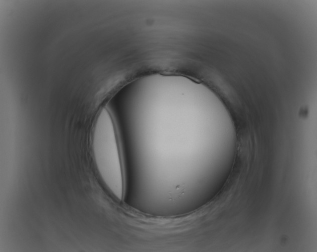 X0000093510023200710121112