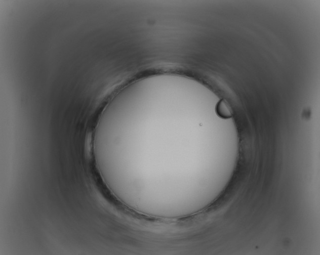 X0000093510024200710121112