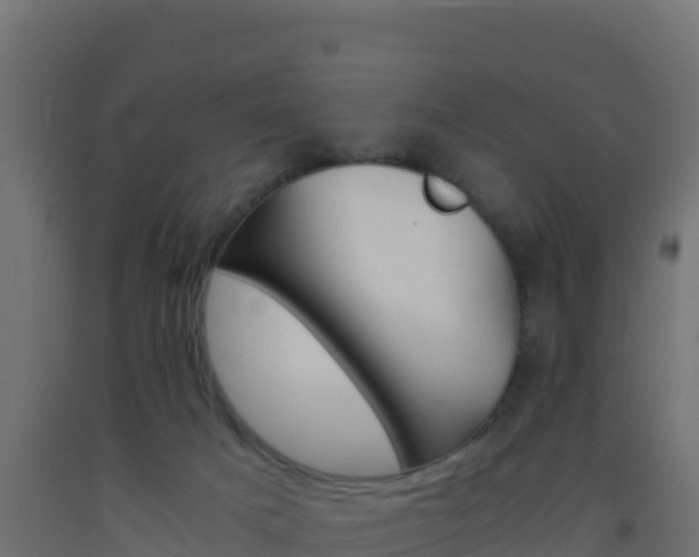 X0000093510025200710121112