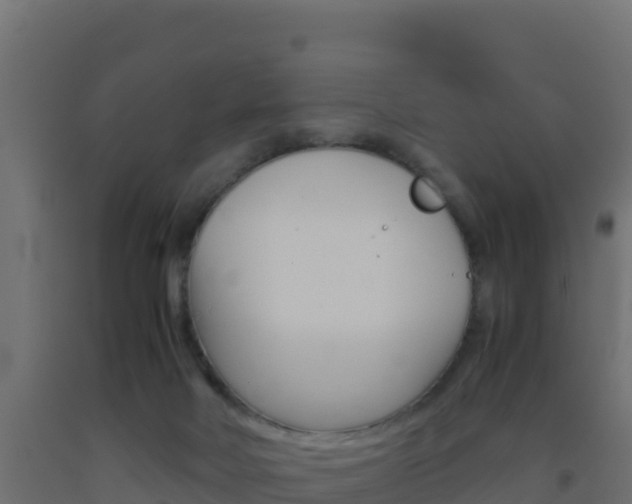 X0000093510026200710121112