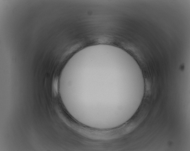 X0000093510028200710121112