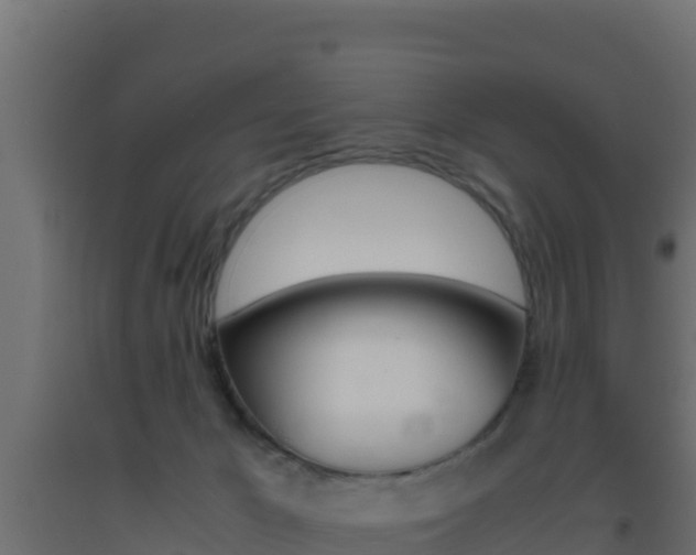 X0000093510029200710121112