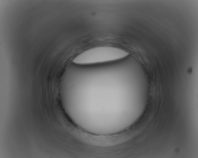 X0000093510030200710121112