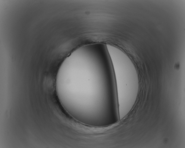X0000093510031200710121112