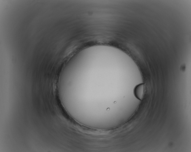 X0000093510032200710121112